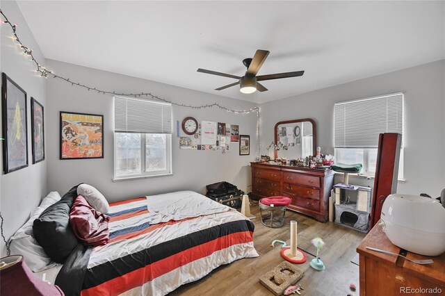 bedroom featuring a ceiling fan and wood finished floors