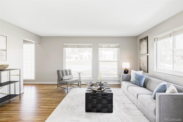 living area featuring baseboards, a wealth of natural light, and wood finished floors