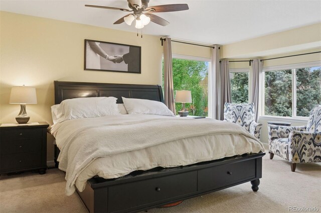 10570 Humboldt Peak Way, Parker, CO 80138 - photo 26