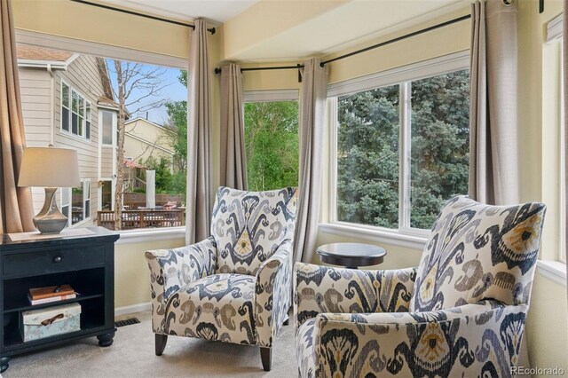 10570 Humboldt Peak Way, Parker, CO 80138 - photo 28