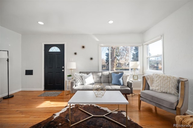 living room with hardwood / wood-style floors