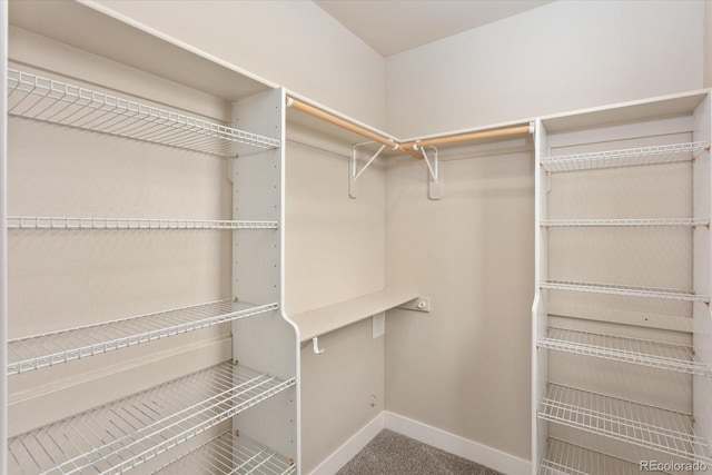 walk in closet featuring carpet flooring