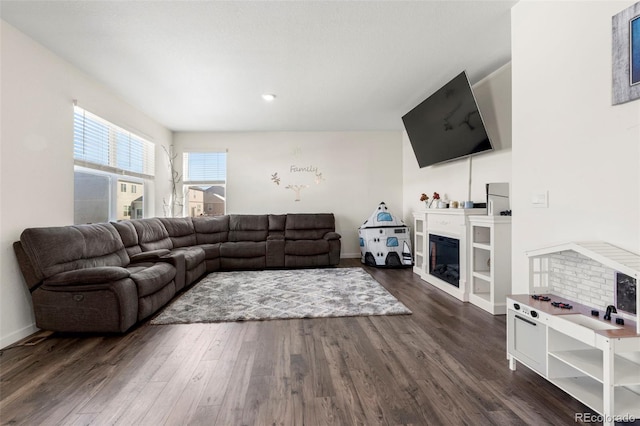 living room featuring dark hardwood / wood-style flooring