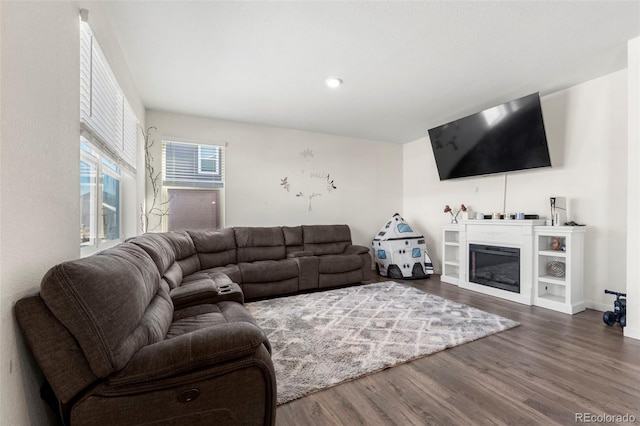 living room featuring hardwood / wood-style flooring