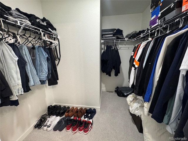 spacious closet with carpet floors