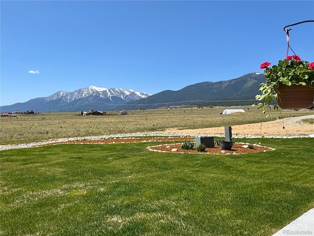 32220 County Road 361, Buena Vista, CO 81211 - photo 47