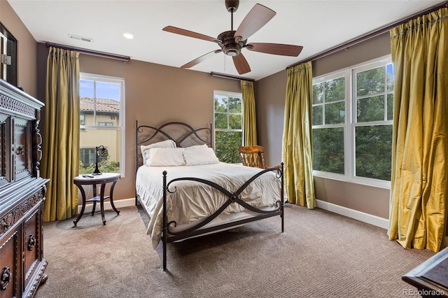 235 Eudora St, Denver, CO 80220 - photo 28