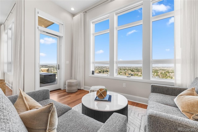 interior space featuring wood finished floors, baseboards, and plenty of natural light