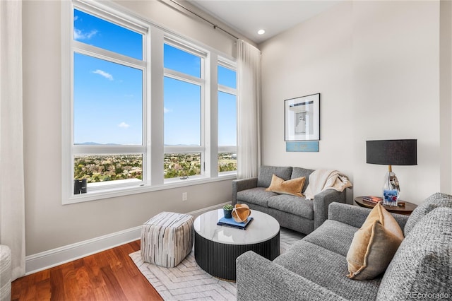 living room with baseboards and wood finished floors