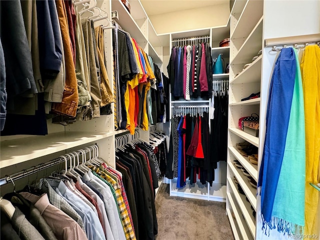 spacious closet featuring carpet floors