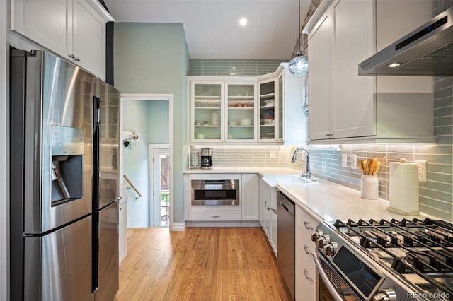 kitchen with appliances with stainless steel finishes, ventilation hood, a sink, light wood finished floors, and light countertops