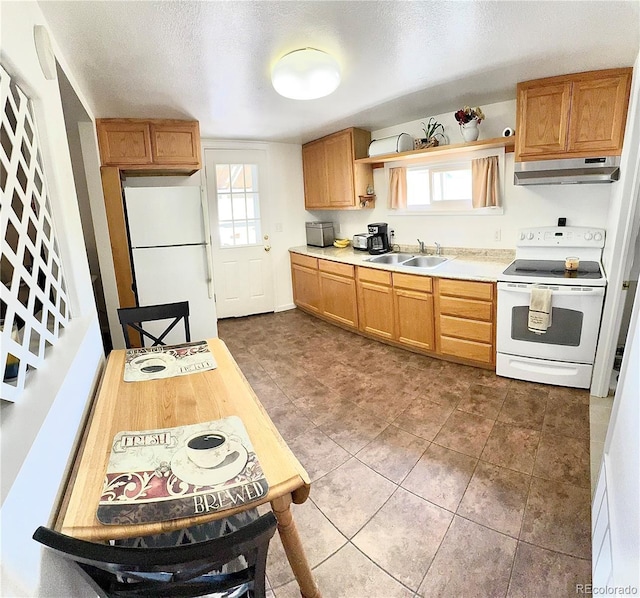 581 Bent Ave, Akron, CO 80720 - photo 5