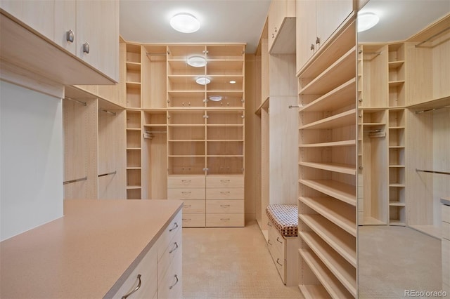 606 Cliffgate Ln, Castle Rock, CO 80108 - walk in closet with light colored carpet