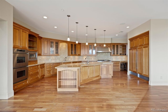 606 Cliffgate Ln, Castle Rock, CO 80108 - kitchen with open shelves, appliances with stainless steel finishes, a kitchen island with sink, under cabinet range hood, and light wood-style flooring