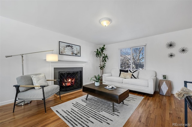 living room featuring wood-type flooring