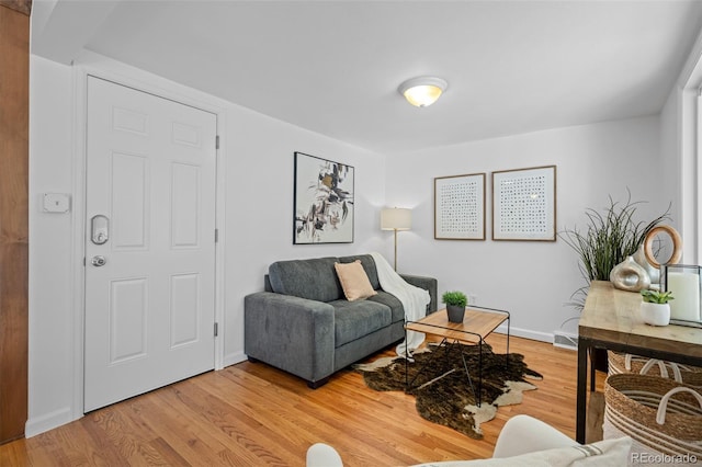 living room with hardwood / wood-style floors