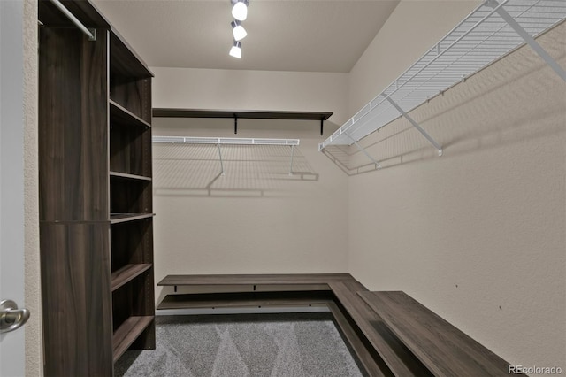 9455 Shinnecock Ct, Peyton, CO 80831 - spacious closet featuring carpet flooring
