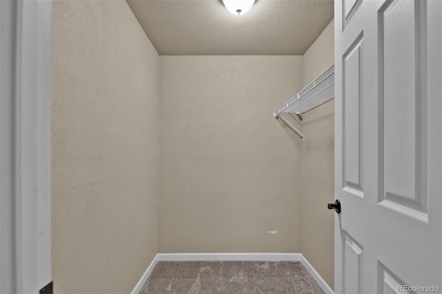 9455 Shinnecock Ct, Peyton, CO 80831 - walk in closet featuring carpet flooring