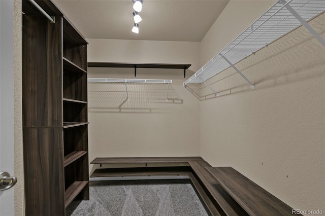 9455 Shinnecock Ct, Peyton, CO 80831 - walk in closet featuring carpet