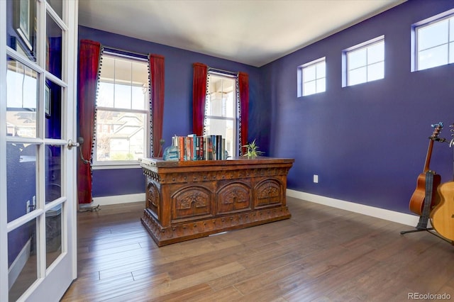 interior space with hardwood / wood-style flooring, multiple windows, and french doors