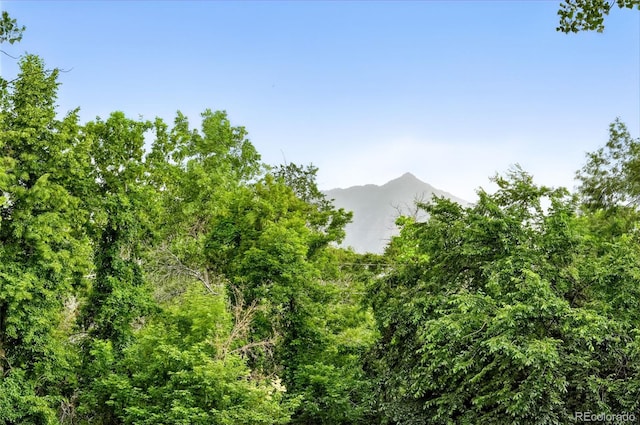2960 Shadow Creek Dr Unit 201, Boulder, CO 80303 - view of mountain background