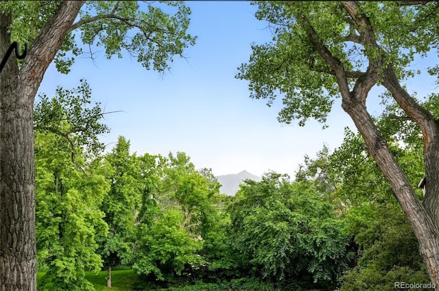 2960 Shadow Creek Dr Unit 201, Boulder, CO 80303 - view of woods with a mountain view