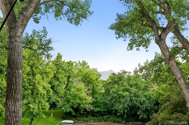 2960 Shadow Creek Dr Unit 201, Boulder, CO 80303 - view of yard with a mountain view
