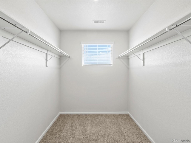 1620 Riverplace Dr Unit 5, Windsor, CO 80550 - photo 33