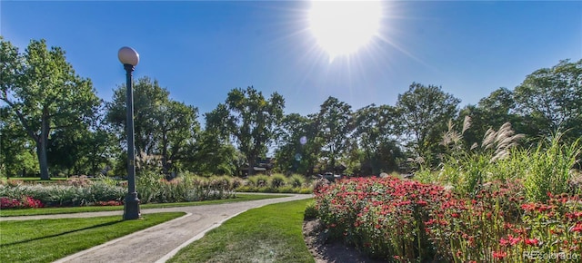 1313 S Clarkson St Unit 205, Denver, CO 80210 - view of home's community featuring a yard