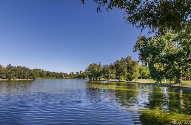 1313 S Clarkson St Unit 205, Denver, CO 80210 - water view