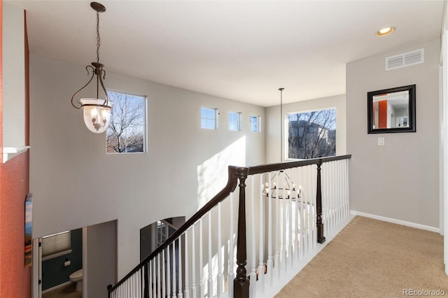 hall with an inviting chandelier, a wealth of natural light, and carpet flooring