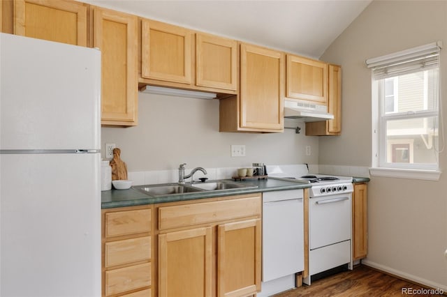 4523 W 36th Pl, Denver, CO 80212 - photo 19