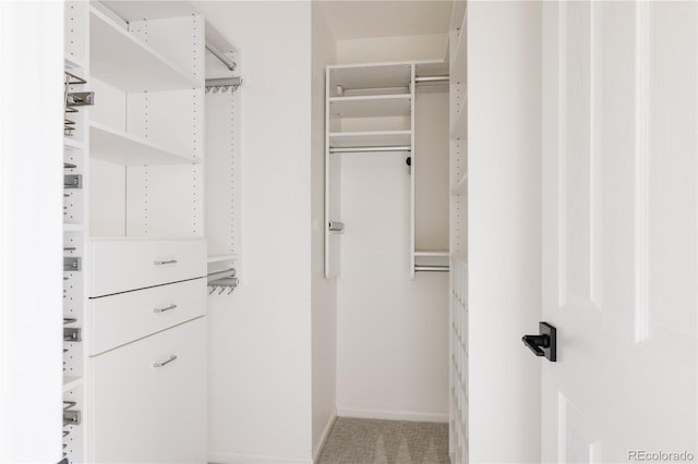 4523 W 36th Pl, Denver, CO 80212 - photo 20