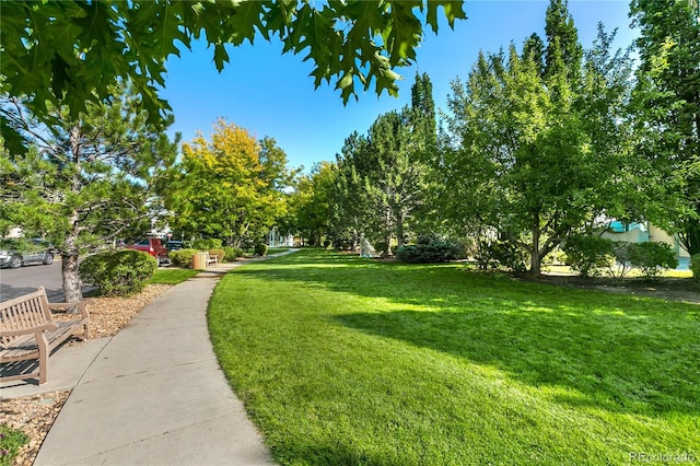4523 W 36th Pl, Denver, CO 80212 - photo 36