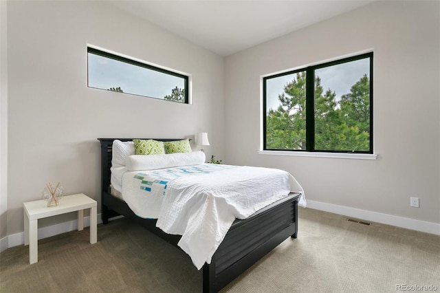 843 Long Timber Ln, Monument, CO 80132 - bedroom with multiple windows and carpet floors
