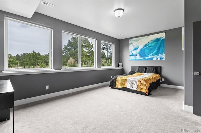 843 Long Timber Ln, Monument, CO 80132 - bedroom with carpet floors and baseboards