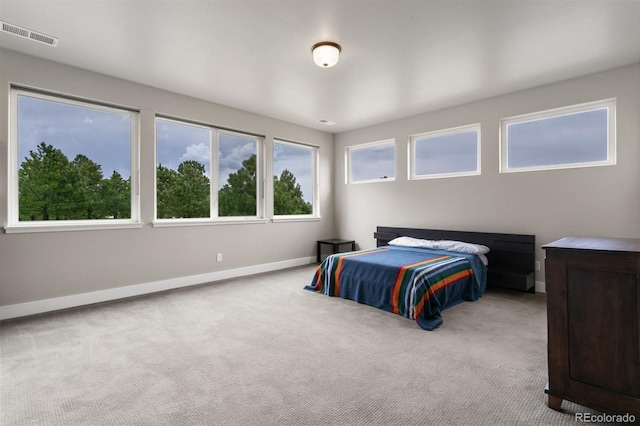 843 Long Timber Ln, Monument, CO 80132 - carpeted bedroom with baseboards
