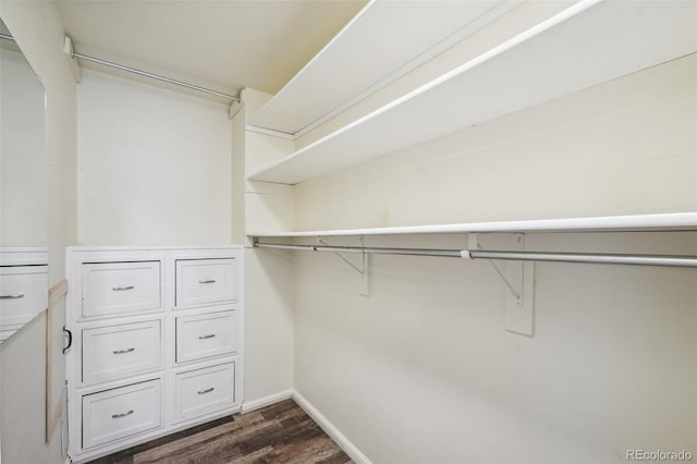 68 N Quicksilver Ave, Castle Rock, CO 80104 - walk in closet with dark wood-style floors