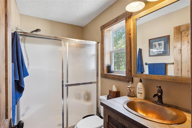 50 Rd P78, Bailey, CO 80421 - full bath with vanity, a shower stall, a textured ceiling, and toilet