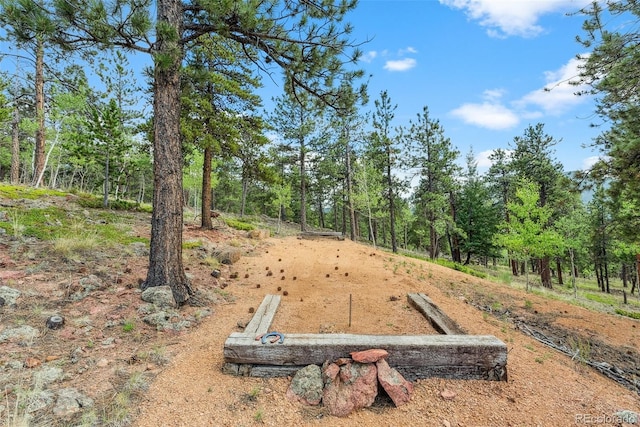 50 Rd P78, Bailey, CO 80421 - view of yard