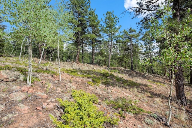 50 Rd P78, Bailey, CO 80421 - view of undeveloped land