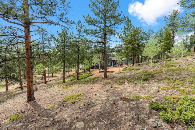 50 Rd P78, Bailey, CO 80421 - view of yard