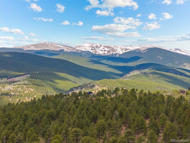 50 Rd P78, Bailey, CO 80421 - view of mountain backdrop with a forest