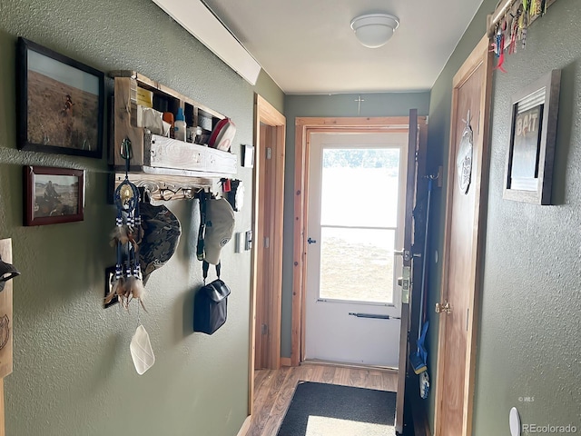 doorway to outside featuring light hardwood / wood-style flooring