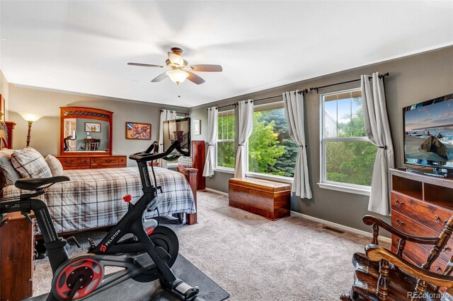 10614 Kicking Horse Dr, Littleton, CO 80125 - photo 18