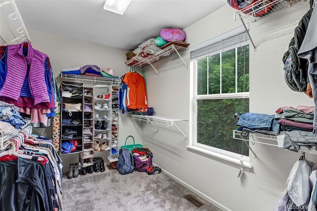 10614 Kicking Horse Dr, Littleton, CO 80125 - photo 21