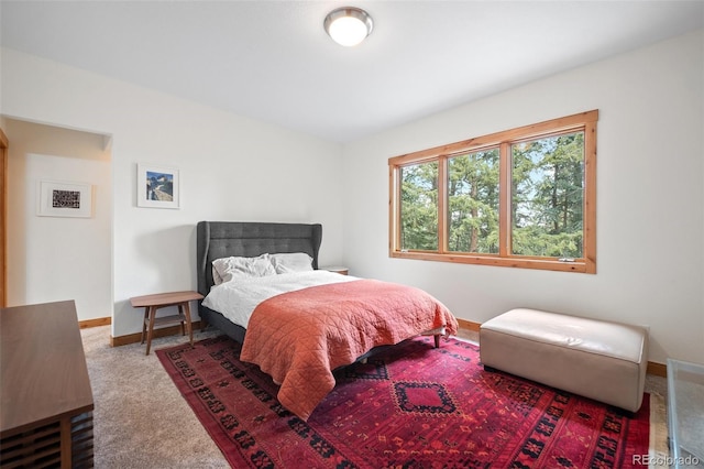 27711 Moffat Rd, Evergreen, CO 80439 - bedroom with baseboards and carpet