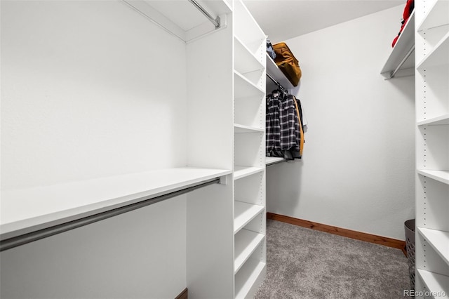 27711 Moffat Rd, Evergreen, CO 80439 - walk in closet featuring carpet flooring