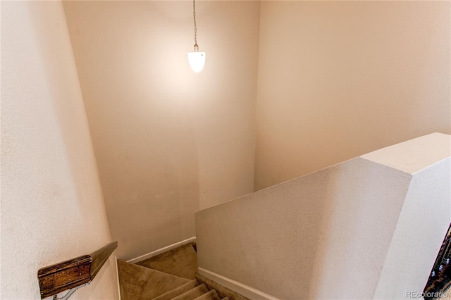 2346 Central Park Blvd, Denver, CO 80238 - staircase featuring carpet flooring and baseboards