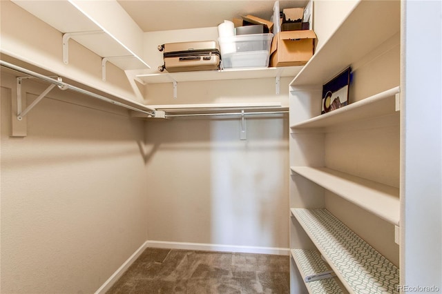 2346 Central Park Blvd, Denver, CO 80238 - walk in closet with carpet floors
